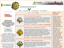 Tablet Screenshot of blumenversand.blumen-xxl.de